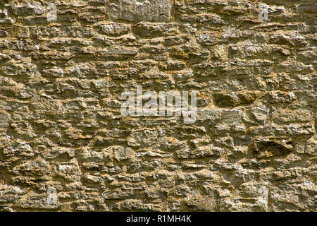 Alte Flechten bedeckt Kalkstein Wand Hintergrund Textur Stockfoto