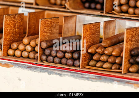 Kubanische Zigarren in Boxen in Key West, USA auf Holz- Hintergrund. Tabak traditionelle Handarbeit herstellen. Rauchen und schlechte Gewohnheiten. Stockfoto