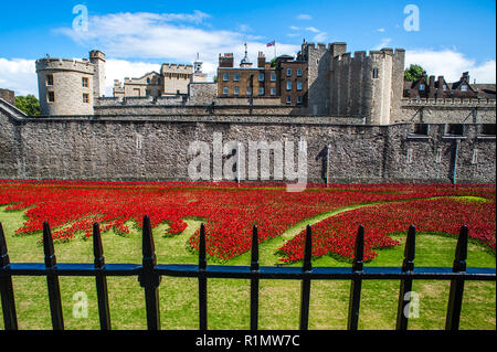 Tausende von handgefertigte Keramik Mohnblumen füllen den Graben an der Tower von London die gefallenen Soldaten im Ersten Weltkrieg WW1 zu gedenken. Stockfoto