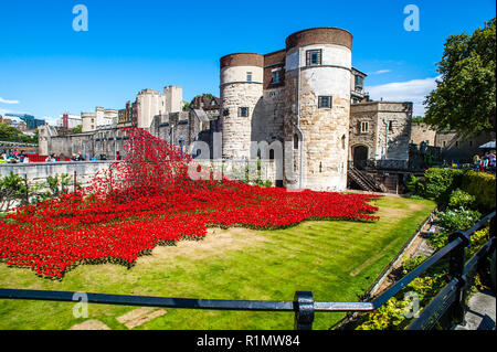 Tausende von handgefertigte Keramik Mohnblumen füllen den Graben an der Tower von London die gefallenen Soldaten im Ersten Weltkrieg WW1 zu gedenken. Stockfoto