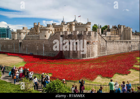 Tausende von handgefertigte Keramik Mohnblumen füllen den Graben an der Tower von London die gefallenen Soldaten im Ersten Weltkrieg WW1 zu gedenken. Stockfoto