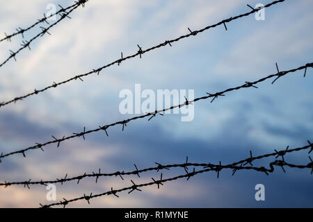 Silhouette der Stacheldrahtzaun gegen blurry bewölkter Himmel am Abend. Im Vordergrund standen. Stockfoto