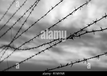 Silhouette der Stacheldrahtzaun gegen blurry bewölkter Himmel am Abend in Schwarz und Weiß. Im Vordergrund standen. Stockfoto