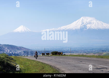 Сyclist Fahrten entlang der Straße mit Blick auf die Silhouetten der Berge im Schnee und Ararat Stockfoto