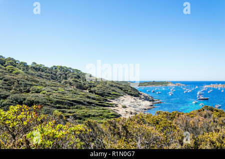 Seeküste im Sommer der Insel Porquerolles Stockfoto