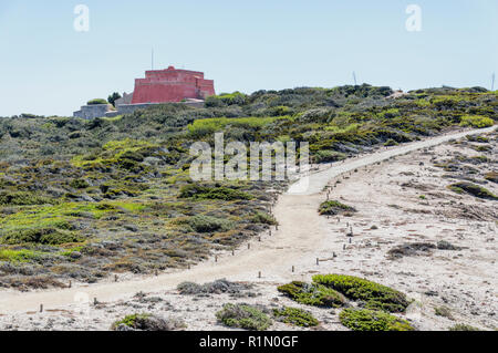 Fahrrad Reise in einem Wald auf der Insel Porquerolles Stockfoto