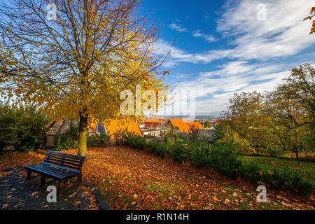 Herbst Laub, Wattenheim, Deutschland Stockfoto