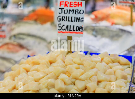 Frische Jakobsmuscheln auf Eis für Verkauf am Pike Place Market in Seattle, Washington Stockfoto