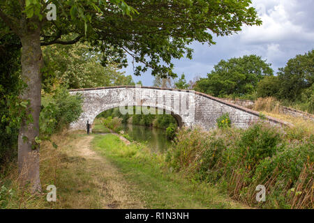 Weiß getünchten Bogenbrücke über Trent und Mersey Canal im Elworth in der Nähe von Sandbach Cheshire UK Stockfoto