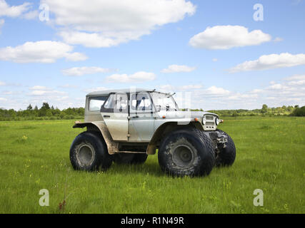 Feld in der Nähe von Gagarin. Smolensk. Russland Stockfoto