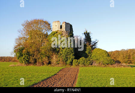 Ein Blick auf die zerstörte Turm der Kirche von Burgh St Mary in der Pfarrei von Fleggburgh, Norfolk, England, Vereinigtes Königreich, Europa. Stockfoto