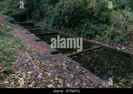 Alte Kresse Betten. Himley Hall. Großbritannien Stockfoto