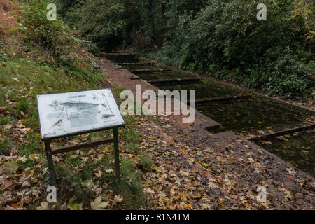 Alte Kresse Betten. Himley Hall. Großbritannien Stockfoto