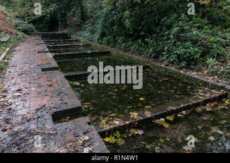 Alte Kresse Betten. Himley Hall. Großbritannien Stockfoto