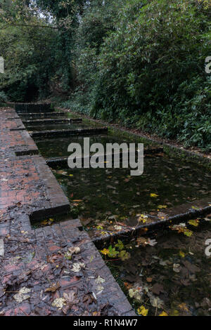 Alte Kresse Betten. Himley Hall. Großbritannien Stockfoto