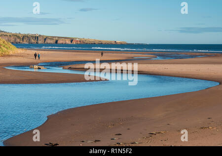 Lunan Wasserschlangen an der Nordsee halbierend Lunan Bay Beach, Angus, Schottland. Stockfoto