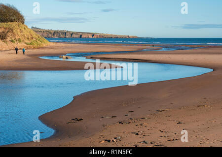 Lunan Wasserschlangen an der Nordsee halbierend Lunan Bay Beach, Angus, Schottland. Stockfoto