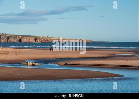 Lunan Wasserschlangen an der Nordsee halbierend Lunan Bay Beach, Angus, Schottland. Stockfoto