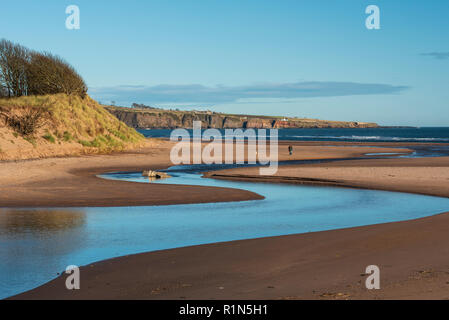 Lunan Wasserschlangen an der Nordsee halbierend Lunan Bay Beach, Angus, Schottland. Stockfoto