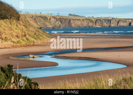 Lunan Wasserschlangen an der Nordsee halbierend Lunan Bay Beach, Angus, Schottland. Stockfoto