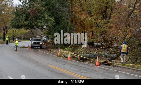 Carrboro, North Carolina, USA - November 13, 2018: Arbeiter reparieren Stromleitungen nach Baum fiel auf sie im Sturm Stockfoto