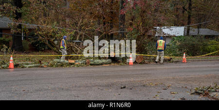 Carrboro, North Carolina, USA - November 13, 2018: Arbeiter reparieren Stromleitungen nach Baum fiel auf sie im Sturm Stockfoto