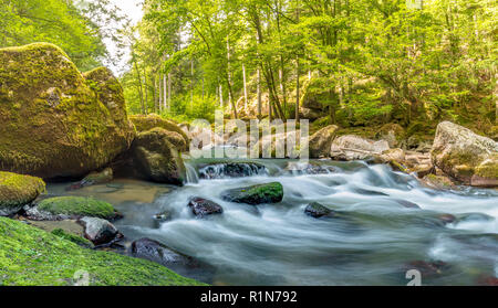 Schönen Fluss im Wald Natur. Friedlichen Farben Natur Hintergrund Stockfoto