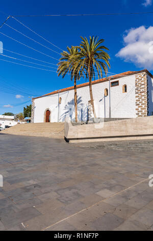 Palmen in der Plaza de Espana in Costa Adeje, Teneriffa, Kanarische Inseln, Spanien Stockfoto