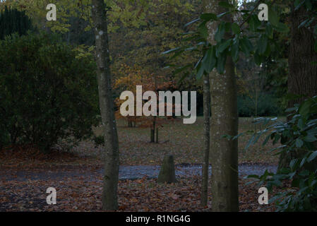 Belleisle Park, Ayr, Schottland im Herbst Farben Stockfoto