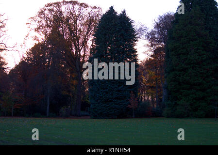 Belleisle Park, Ayr, Schottland im Herbst Farben Stockfoto