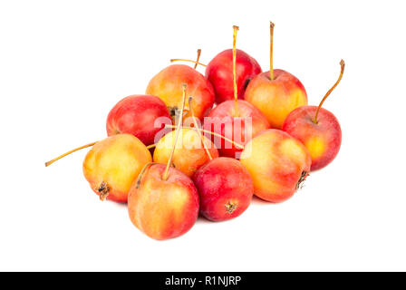 Mehrere kleine Paradies Äpfel auf weißem Hintergrund Stockfoto