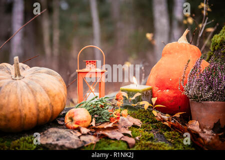 Herbst Komposition mit orange Kürbisse, Kerze, Laternen, Heidekraut Blume, Äpfel, in Wald im Freien im Herbst Tag. Stockfoto