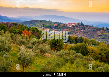 Sonnenuntergang Blick über die Hügel mit Olivenbäumen um im Herbst in Cavriglia, Toskana, Italien Stockfoto