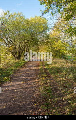 Bahnhof entfernt, in der Nähe von Wolverhampton, West Midlands, Großbritannien Stockfoto