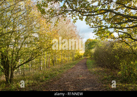 Bahnhof entfernt, in der Nähe von Wolverhampton, West Midlands, Großbritannien Stockfoto