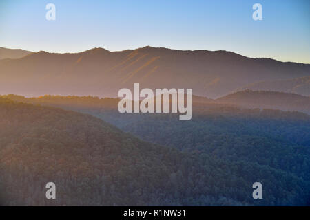 Morgen Licht auf die Smokies Ausläufern im Herbst, Townsend, Tennessee, USA Stockfoto