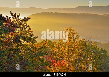 Morgen Licht auf die Smokies Ausläufern im Herbst, Townsend, Tennessee, USA Stockfoto