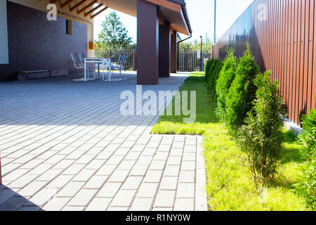 Fir-Bäume wachsen auf einem Rasen. In einer Reihe gepflanzt. Grünen Rasen getrimmt. Sonnigen Tag. Stockfoto