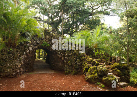 Jardim Antonio Borges Botanischer Park in Ponta Delgada, Sao Miguel, Azoren, Portugal Stockfoto