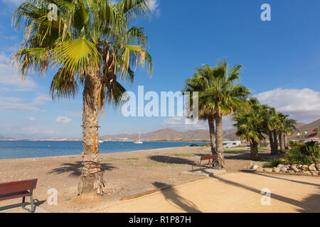 La Azohia Murcia, Spanien mit Strand und Palmen zwischen Mazarron und Cartagena Stockfoto