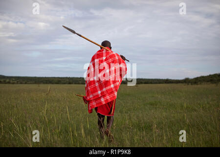 Einen Masai mann Spaziergänge durch ein Feld im Mara Naboisho Conservancy im Südwesten von Kenia, 4. Mai 2018. Stockfoto