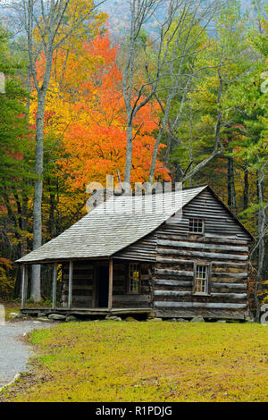 Der Carter Schilde in Cades Cove im Herbst, Great Smoky Mountains National Park, Tennessee, USA Stockfoto