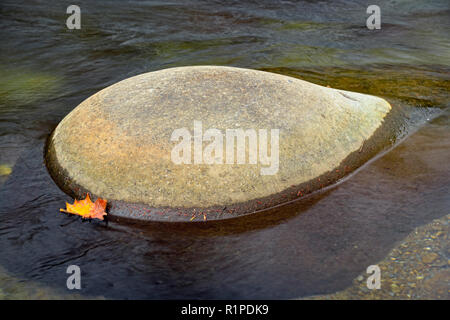 Polierte Steine und Laub rund um die Wasserfälle in der Pigeon River bei Greenbrier, Great Smoky Mountains National Park, Tennessee, USA Stockfoto