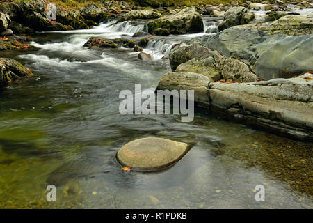 Polierte Steine und Laub rund um die Wasserfälle in der Pigeon River bei Greenbrier, Great Smoky Mountains National Park, Tennessee, USA Stockfoto