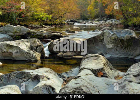 Polierte Steine und Laub rund um die Wasserfälle in der Pigeon River bei Greenbrier, Great Smoky Mountains National Park, Tennessee, USA Stockfoto