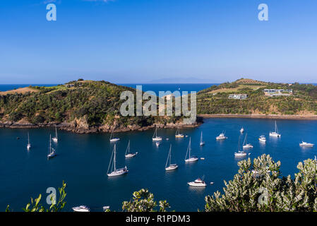 Waiheke Island, Neuseeland. Yachten in ruhigem Wasser Stockfoto