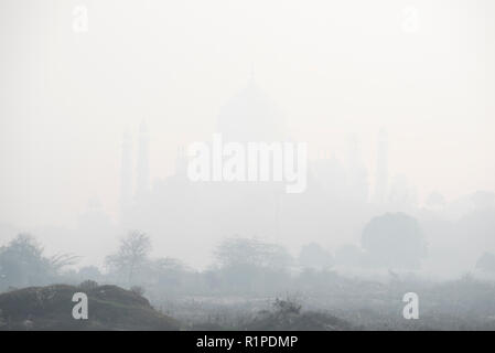 Taj Mahal die Wunder der Welt und der Stolz von Indien im Winter morgens Nebel mit einigen Vegetation im Vordergrund bildet es ein Symbol der Liebe Stockfoto