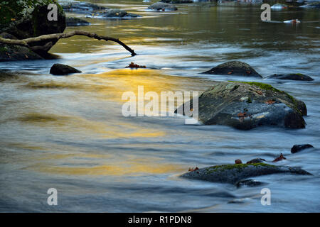 Herbst Reflexionen in den kleinen Fluss, Great Smoky Mountains National Park, Tennessee, USA Stockfoto