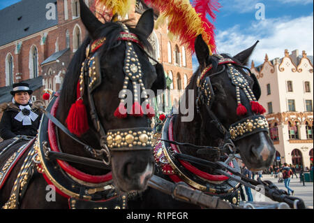 Krakau, Polen: Traditionelle Kutsche wartet auf Passagiere auf dem Marktplatz. Pferde tragen gefiederten Kopfbedeckungen und weibliche Fahrer Stockfoto