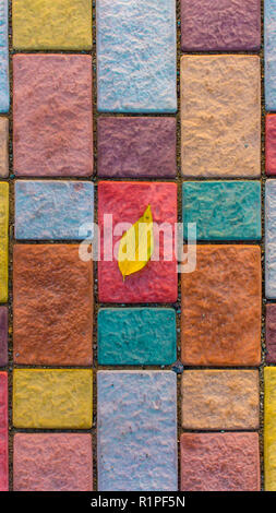 Close-up gelb Blatt auf bunten Stein Steine. Herbst Komposition Konzept. Stockfoto